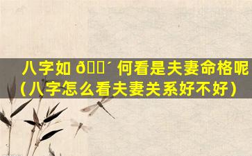 八字如 🐴 何看是夫妻命格呢（八字怎么看夫妻关系好不好）